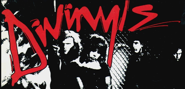 Divinyls logo