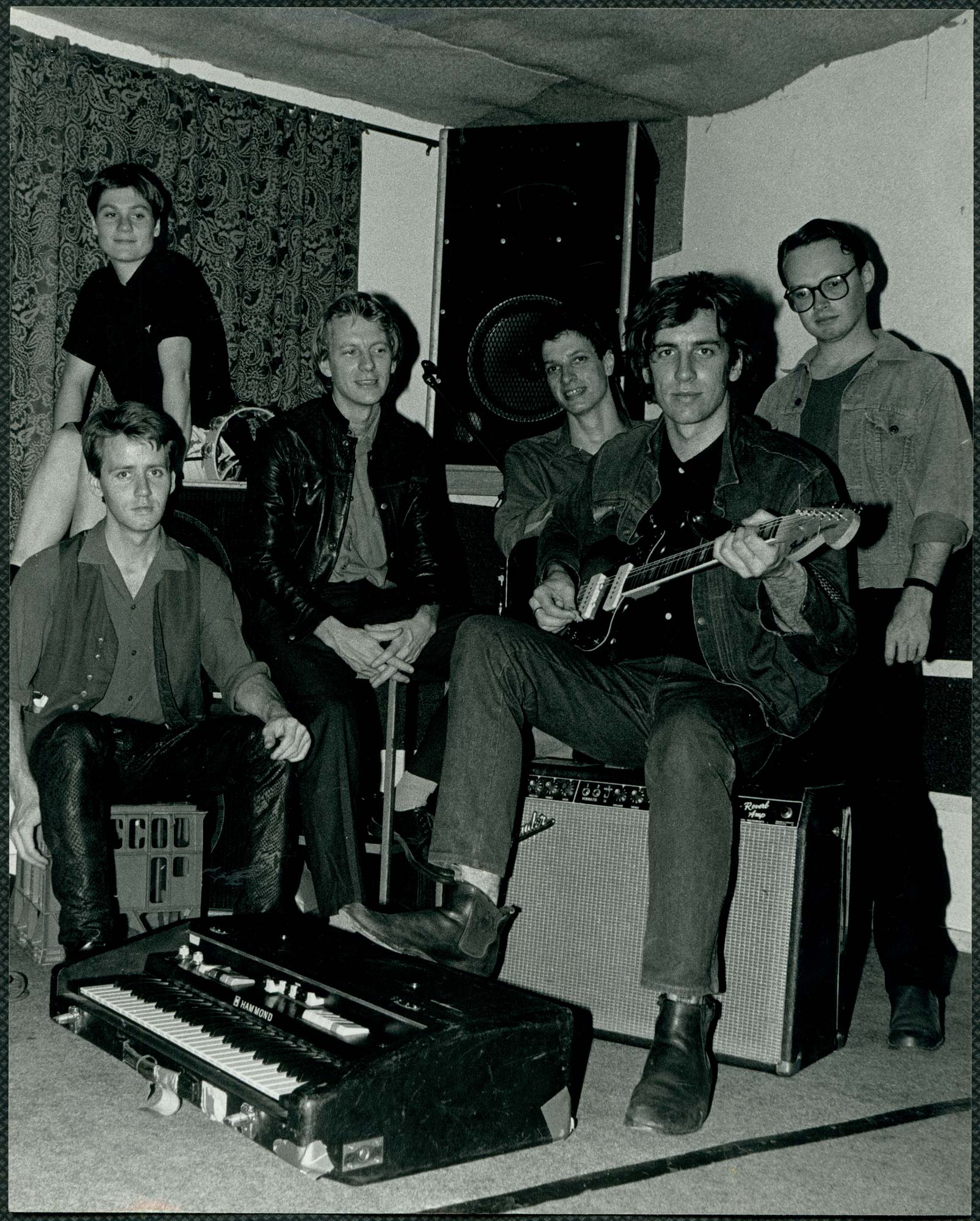 The Triffids